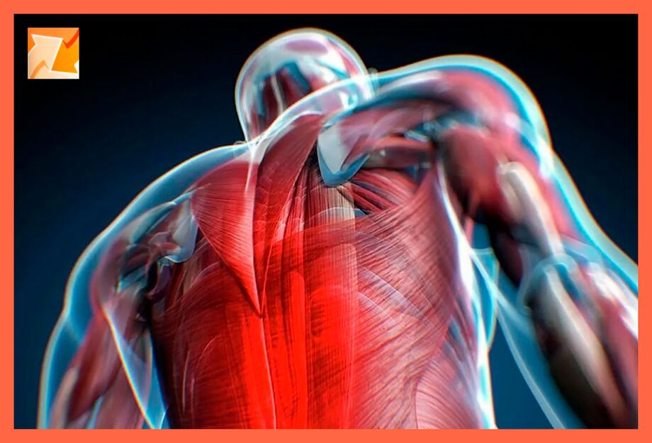 Caracteristici ale disconfortului